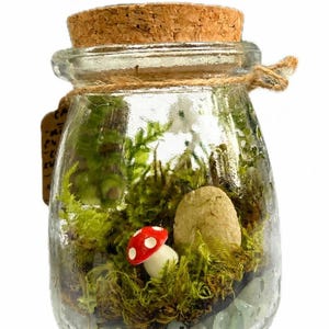 May include: A mini terrarium in a clear glass jar with a cork lid, containing green moss, a small red and white mushroom figurine, and a smooth tan stone. The text "inspiration only: mini terrarium featuring badge moss" is visible above the jar.