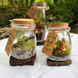 May include: Three glass jars with cork lids, each containing a miniature terrarium with moss, stones, and a small red and white mushroom. Each jar features a brown paper tag tied with twine, printed with the text Thank you for celebrating with us.