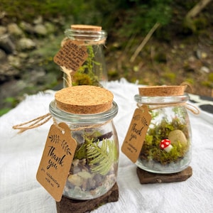 May include: Two small glass jars with cork lids containing miniature moss terrariums with green ferns, small stones, and a red mushroom figurine. Each jar features a brown paper tag tied with twine that says Thank you for celebrating with us.