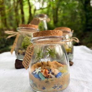 May include: A clear glass jar with a cork lid containing sand, small seashells, blue sea glass, and two tiny green plants. A brown paper tag tied with twine features handwritten text that reads Care Tips: mist w/ water every few weeks, keep lid clear condensation, replace desert if needed, enjoy.