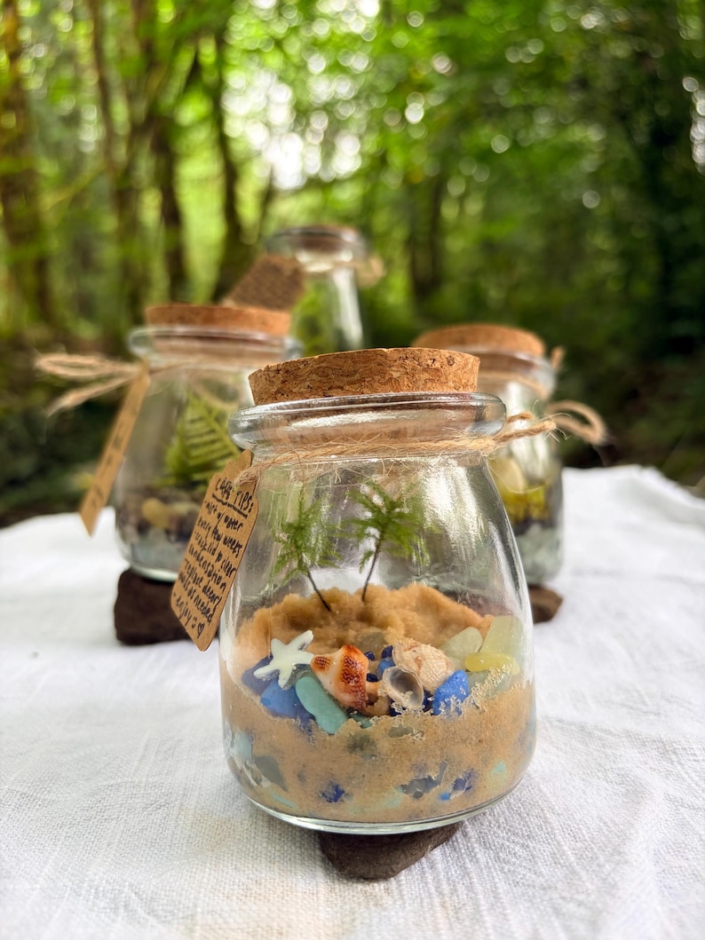 May include: A clear glass jar with a cork lid containing sand, small seashells, blue sea glass, and two tiny green plants. A brown paper tag tied with twine features handwritten text that reads Care Tips: mist w/ water every few weeks, keep lid clear condensation, replace desert if needed, enjoy.