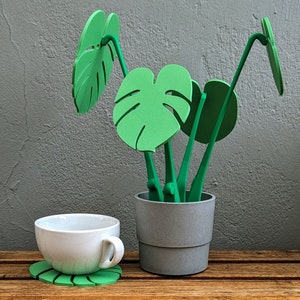 Monstera coaster with holder / magnetic window leaf plant (can be made as desired)