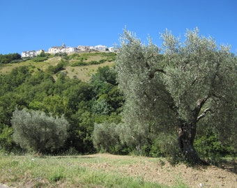 Secrets of the Boot: Unveiling Your Italian Ancestry