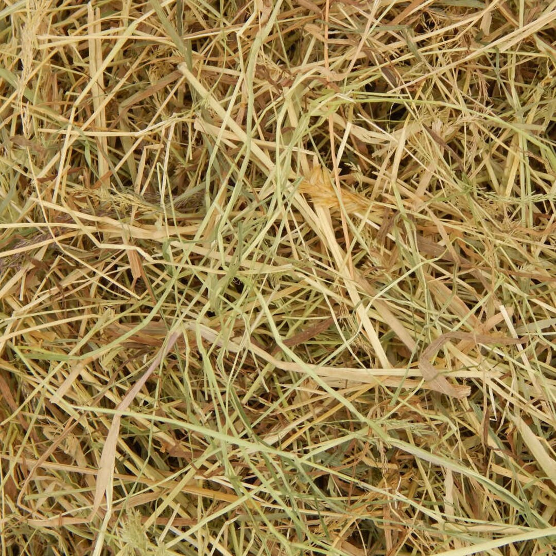 Meadow Hay for Rabbits 4kg Box Etsy UK