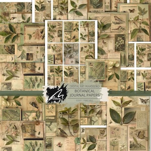 Pagine di libri antichi botanici Kit digitale di effimeri natura Uccelli vintage, foglie verdi e flora antica per diari spazzatura e pagine di album