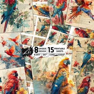 Splendore tropicale: kit di pappagalli e fiori vivaci, stampe digitali di uccelli esotici, elementi di scrapbooking botanico, scene naturali luminose per l'artigianato