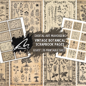 Illustrazione botanica vintage: stampe floreali dettagliate per il fai da te, il diario di scarto e lo scrapbooking. Fogli artistici senza tempo per progetti fai da te.