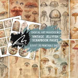 Esplorazione delle profondità oceaniche: antichi diagrammi di meduse per diari di bordo, illustrazioni scientifiche per gli appassionati di mare e arte nautica