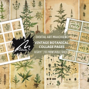 Archivio dell'erborista: pagine digitali dettagliate di erbe vintage per progetti di scrapbooking, diario di spazzatura e artigianato educativo, tag effimeri