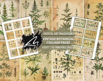 Antique Botanical Herb Pages: Vintage Plant Illustration Printables for Junk Journals & Scrapbooking