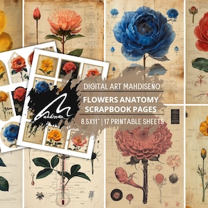 Stampa artistica di anatomia botanica: intricato diagramma floreale per scrapbooking e artigianato - Fogli stampabili educativi per gli amanti del diario spazzatura