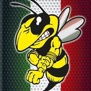 Può includere: Un'illustrazione a cartoni animati di un'ape gialla e nera con un'espressione minacciosa. L'ape è ambientata su uno sfondo di strisce verticali verdi, bianche e rosse.