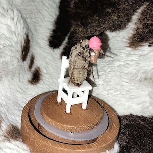 Op de afbeelding: Een grillige miniatuurscène met een cicade op een kleine witte stoel, die een roze ijsje vasthoudt. De stoel staat op een houten voet met een doorzichtige plastic ring, tegen een zachte, patroonachtergrond.