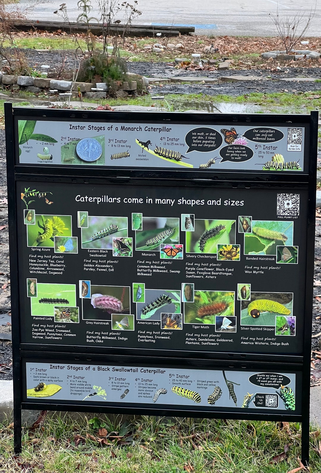 All About Caterpillars Sign 18x30 Etsy