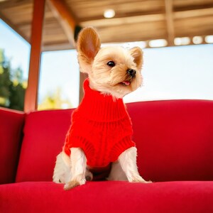 Etsy top dog sweater