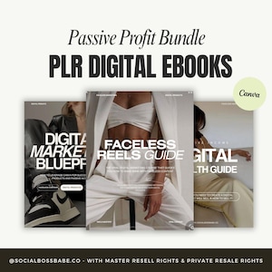 Passive Profit eBook Template Bundle with MRR | Master Resell Rights | Digital Products to Sell | PLR Digital Products for Small Business
