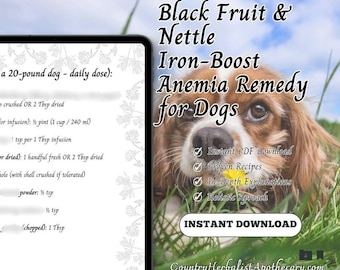 Natural Herbal Dog Recipe: Black Fruit & Nettle Iron-Boost Anemia Remedy for Dogs - Digital PDF Download