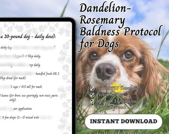 May include: A digital download advertisement for a Dandelion-Rosemary Baldness Protocol for Dogs. The image features a Cavalier King Charles Spaniel in green grass, with text that includes "Instant PDF Download" and "Proven Recipes."