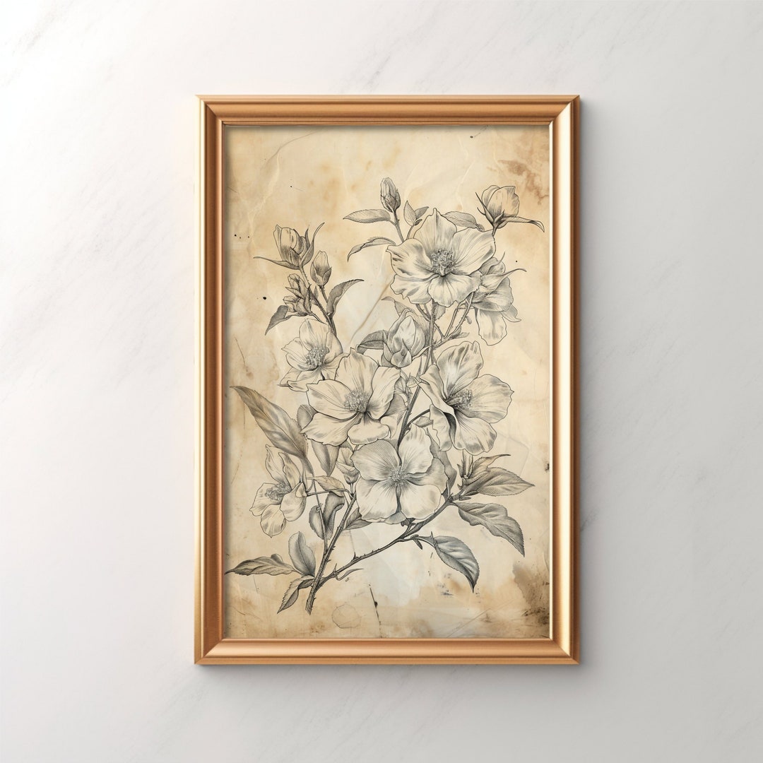 Fresh Look at Vintage Floral Wall Art Antique Botanical Illustration Rustic Home