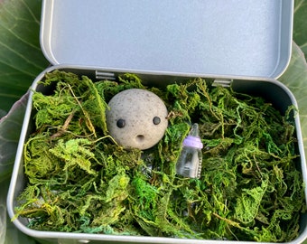 Emotional Support Pet Rock, Desk friend, & Study Buddy