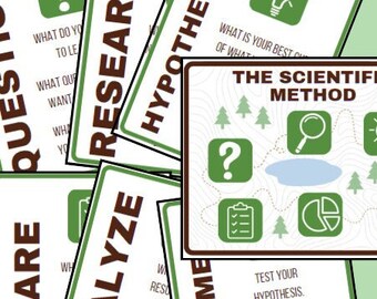 Forest Scientific Method Bulletin Board Posters (Trail Map)