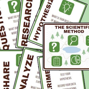 Forest Wissenschaftliche Methode Bulletin Board Poster (Wanderkarte)