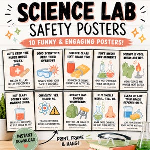 Funny Science Classroom Lab Safety Printable Bulletin Board Posters (Digital Download)