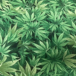 Tijdloze schatten van de natuur - C3819 | Groene bladstof op maat of lengte geknipt | 100% quiltkatoen | Natuurstof, nieuwe stof