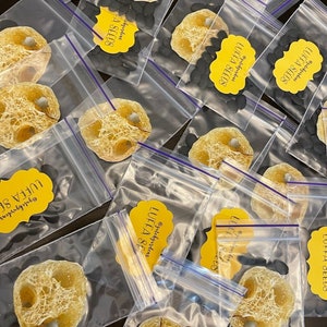 Organic Luffa Seeds