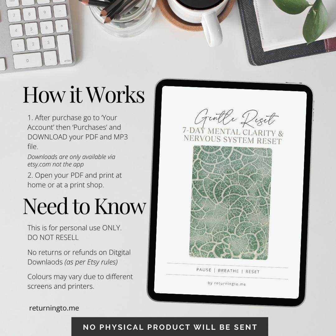 2026 Life Reset | Gentle Nervous System Reset Workbook | 7-day Calm ...