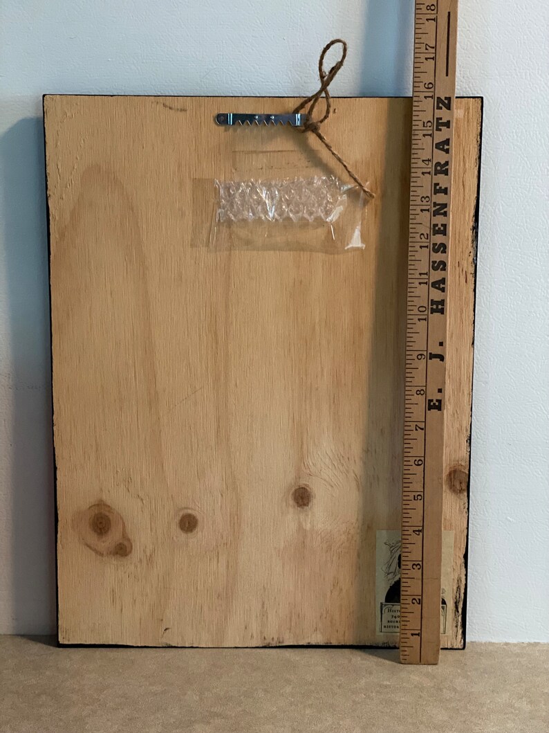 May include: The back of a wooden framed picture with a black frame. The frame is 18 inches tall. The back of the frame is made of plywood and has a clear plastic bubble wrap sticker on it.