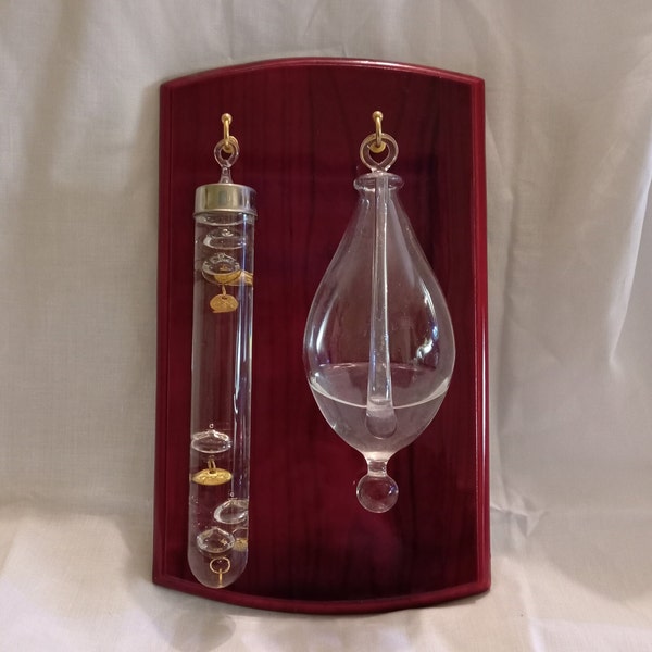 Rare Vintage Galileo Thermometer and Storm Glass Set