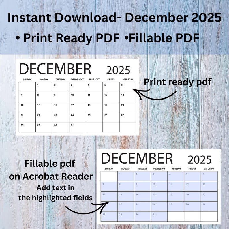 EDITABLE 2025 December Minimalist Black and White Monthly Planner