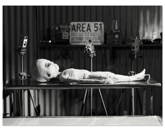 il_340x270.5900781534_fcih.jpg