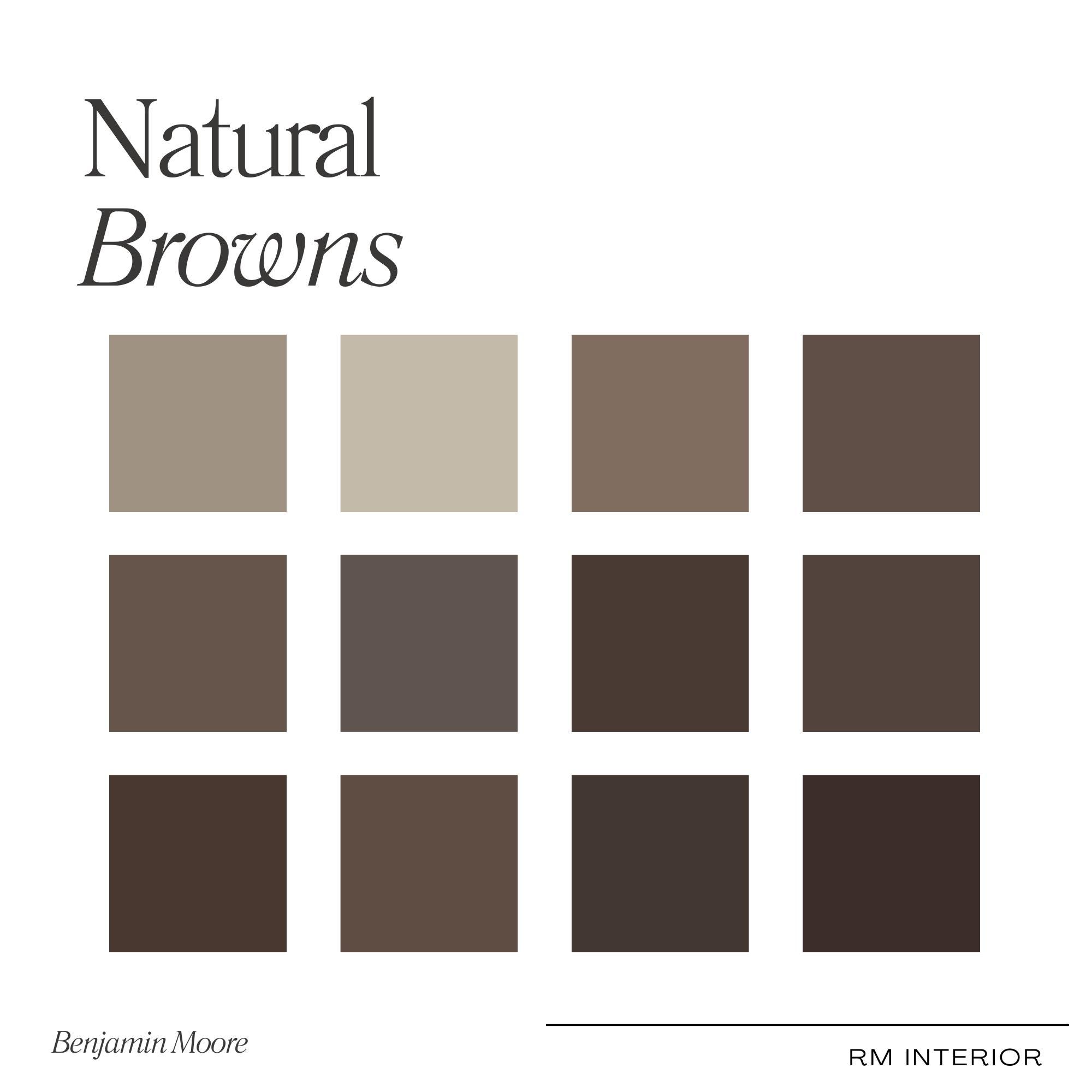 Regular Brown Color Natural Browns Paint Color Palette | 12 Curated Benjamin Moore Colors ...