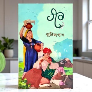 Heer - Heer Waris - Waris Shah - Livre en pendjabi