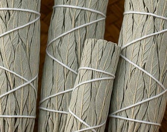 4" or 8" White Sage Smudge Sticks, Alter tools, Sacred Herbal Incense