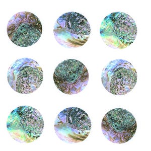 May include: Nine round iridescent abalone shell coasters with a green, blue, and purple colour scheme. The coasters have a natural, organic look.