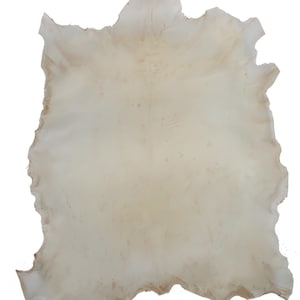 May include: A large, off-white piece of leather with a slightly irregular shape. The leather is smooth and appears to be tanned.