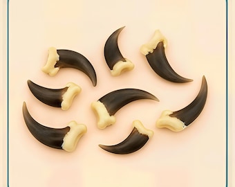 Coyote Claw - Authentic Wild Spiritual Talisman, Mountain Man Animal Jewelry Supply