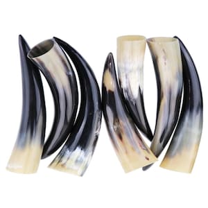 Bison Horn, Polished Buffalo Horn, 8 to 12&quot;