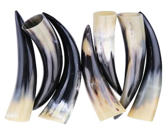 Bison Horn, Polished Buffalo Horn, 8 to 12"