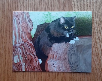 Tuxedo Cat Greeting Card
