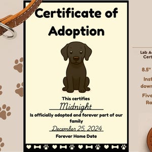 Black Lab Adoption Certificate: Printable Dog Keepsake (Digital Download)