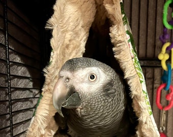 Vee Tent