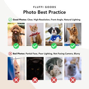 May include: Image from Fluffi Goods titled "Photo Best Practice." The image shows examples of good and bad photos. Good photos are clear, high-resolution, front angle, and have natural lighting. Bad photos have a partial face, poor lighting, are not facing the camera, and are blurry.