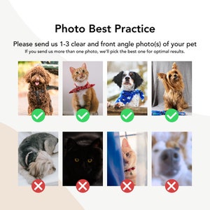May include: A guide with images showing examples of good and bad photos of pets for a pet portrait. The good photos show pets looking directly at the camera with clear, well-lit images. The bad photos show pets that are blurry, out of focus, or not looking at the camera.