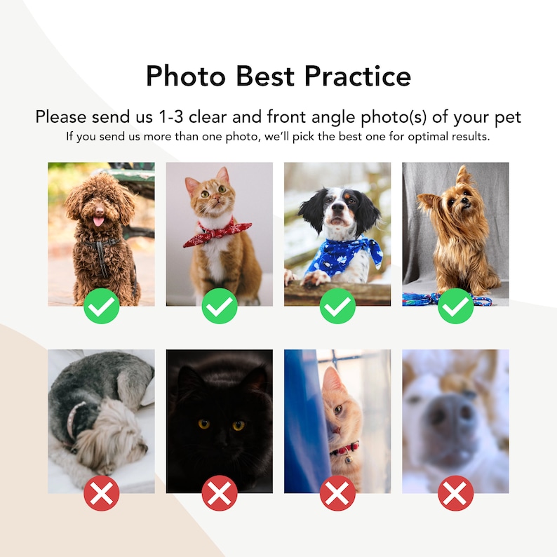 May include: A guide with images showing examples of good and bad photos of pets for a pet portrait. The good photos show pets looking directly at the camera with clear, well-lit images. The bad photos show pets that are blurry, out of focus, or not looking at the camera.