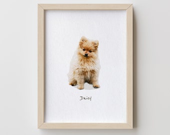 May include: A framed print of a small, fluffy, light brown dog sitting and looking at the camera. The dog's name, "Daisy", is written in cursive below the image.