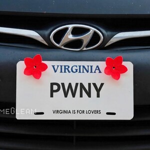 May include: A white Virginia license plate with the text PWNY and the slogan VIRGINIA IS FOR LOVERS. The plate is decorated with two bright red, five-petaled flower-shaped fasteners at the top corners, mounted on the front of a dark gray vehicle.